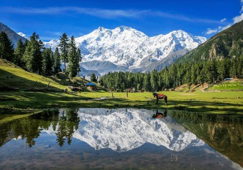 fairy meadows snow